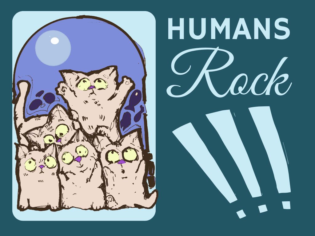 Chubby cats pyramid design, A bold Text reads: Humans Rock.